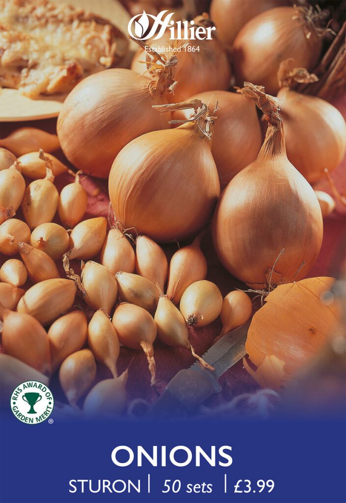 Sturon Onion Sets 8718641999332 2